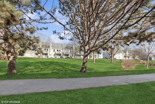 view of home's community with a lawn