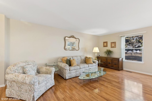 living room featuring light wood-type flooring