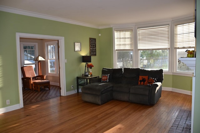 living room with hardwood / wood-style floors and crown molding