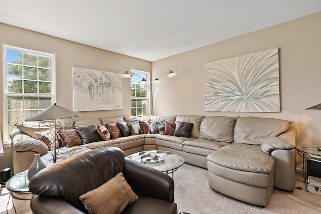 carpeted living room with a healthy amount of sunlight