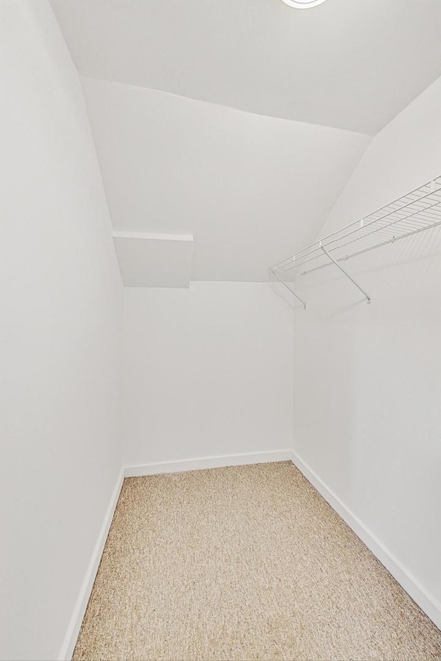 spacious closet featuring vaulted ceiling and carpet floors