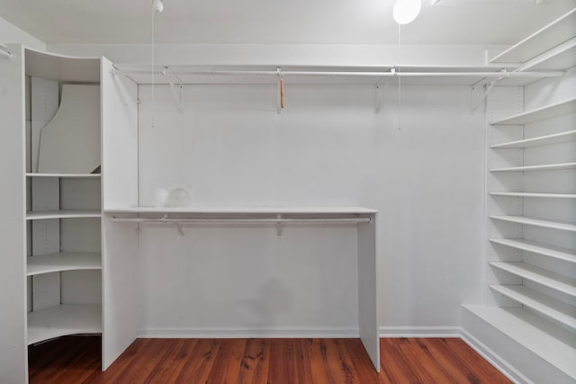 spacious closet featuring dark hardwood / wood-style flooring