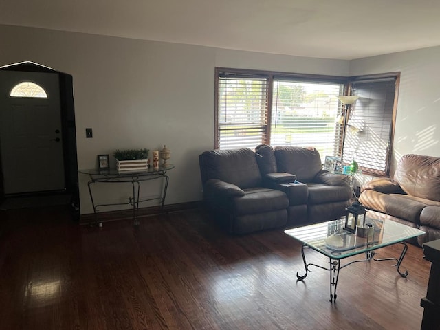 living room with dark hardwood / wood-style floors