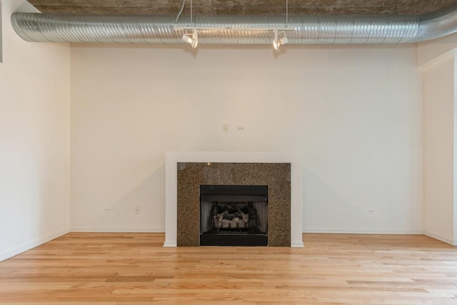 interior details featuring wood-type flooring and a fireplace