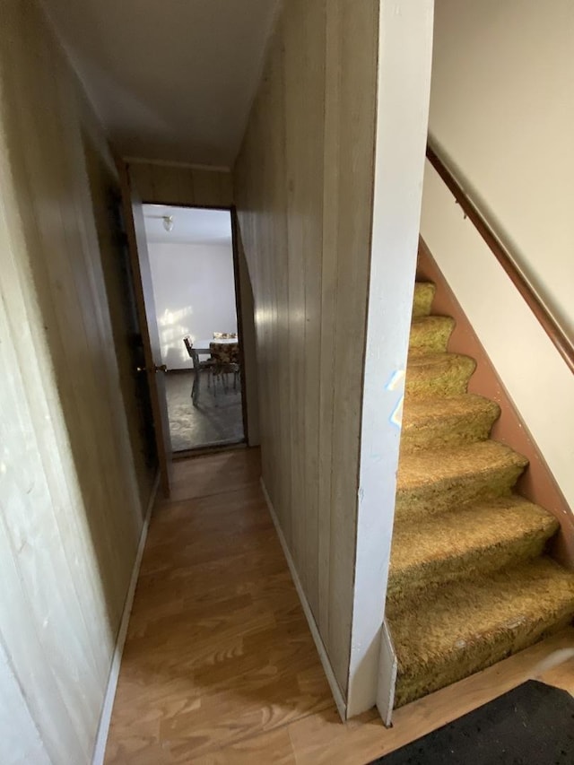 hall featuring wood-type flooring and wooden walls