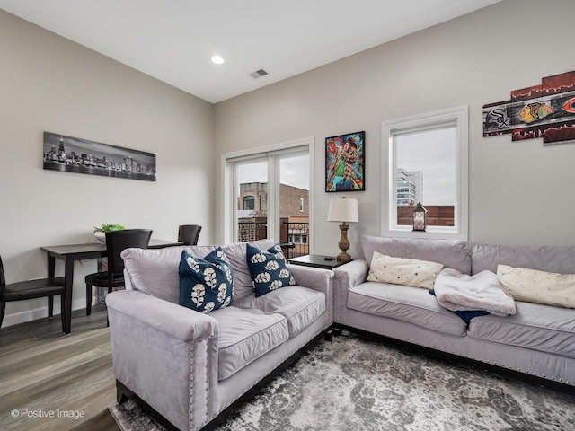 living room featuring hardwood / wood-style floors