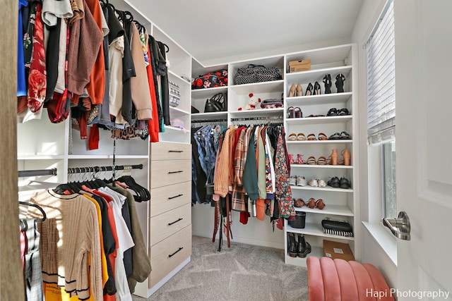 walk in closet featuring light colored carpet