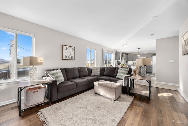 living room with dark wood-type flooring