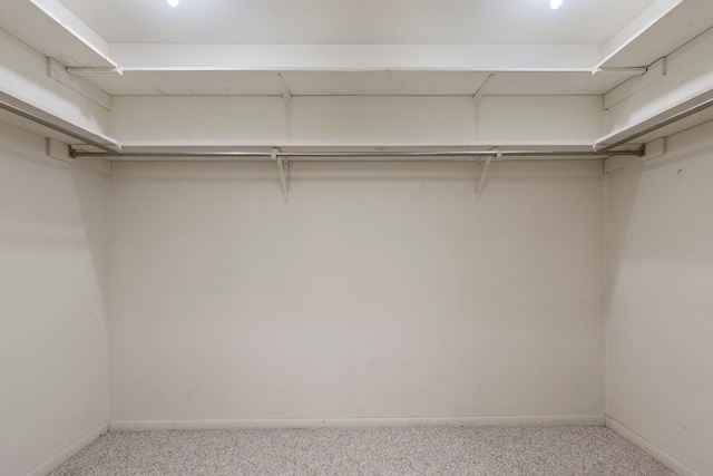 spacious closet featuring light carpet