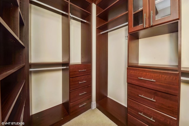 spacious closet featuring carpet