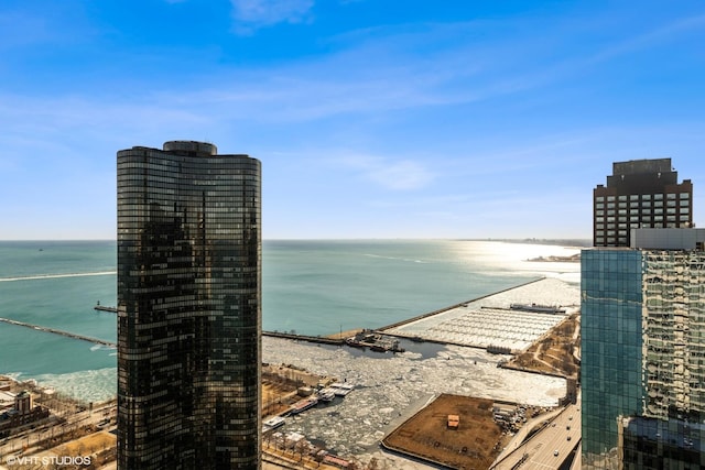 property view of water featuring a beach view