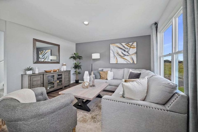 living room with hardwood / wood-style flooring