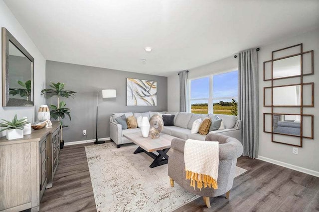 living room featuring dark hardwood / wood-style flooring