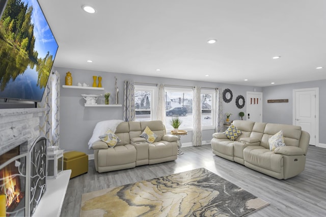 living room featuring a stone fireplace and light wood-type flooring