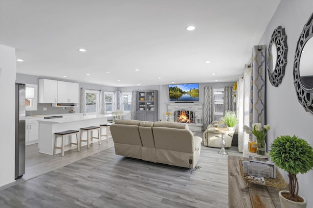 living room featuring light hardwood / wood-style floors