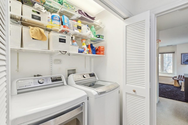 laundry room featuring carpet flooring and washing machine and clothes dryer