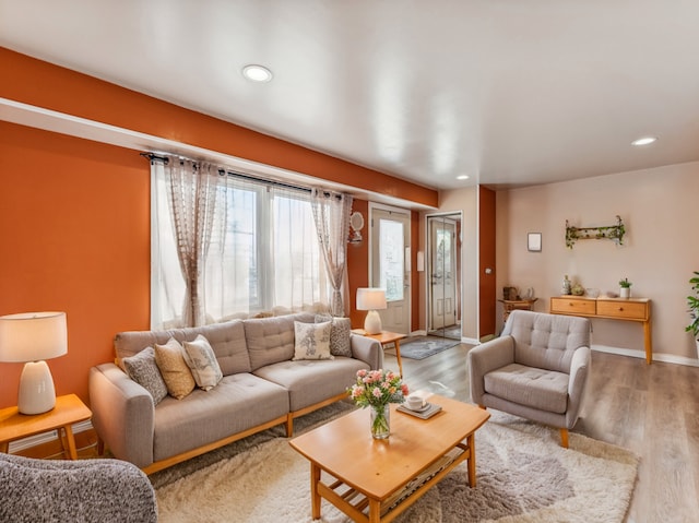 living room featuring wood-type flooring