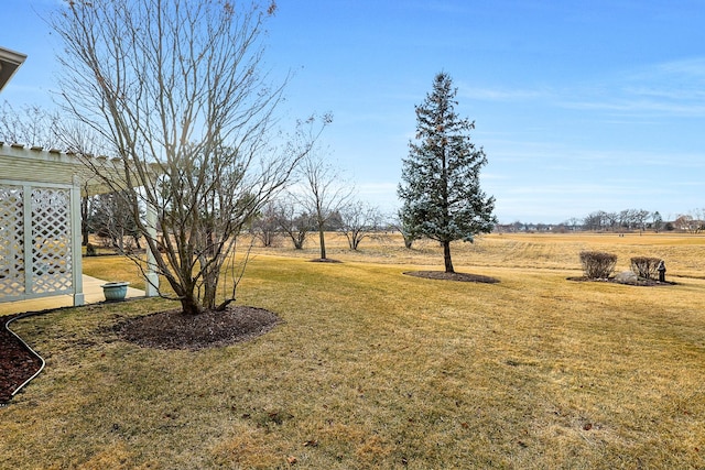 view of yard with a rural view