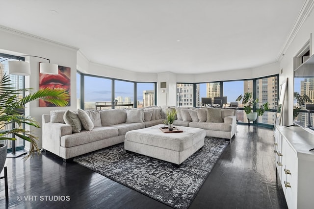 living area featuring wood finished floors and crown molding