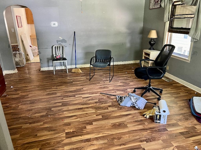 living area featuring wood-type flooring