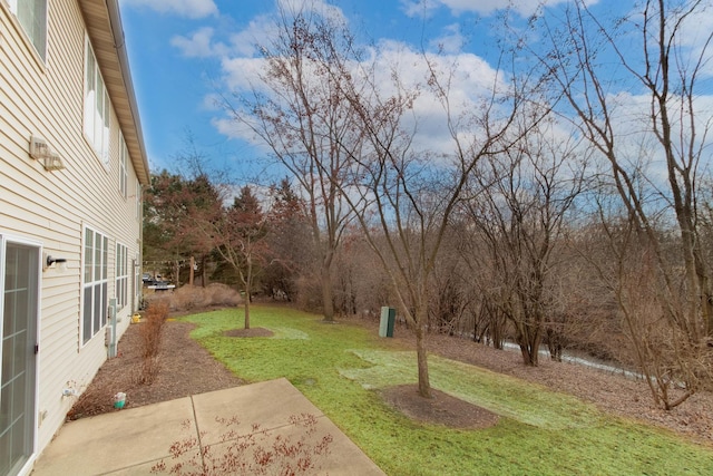 view of yard featuring a patio area