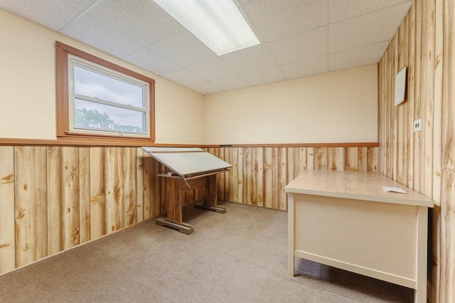 interior space featuring light carpet and wooden walls