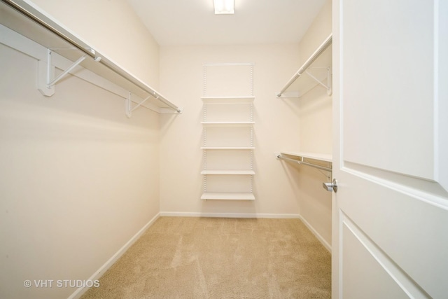 walk in closet featuring light colored carpet