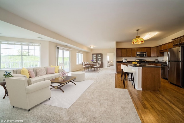 living room with dark hardwood / wood-style floors