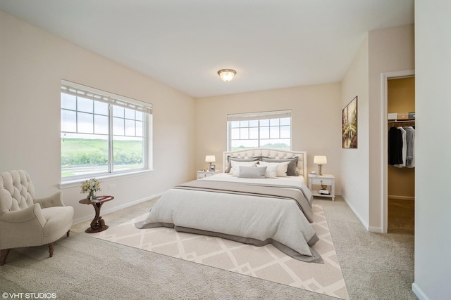 bedroom with a walk in closet and light carpet