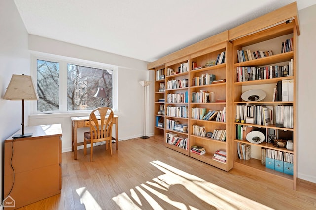 living area featuring light hardwood / wood-style flooring