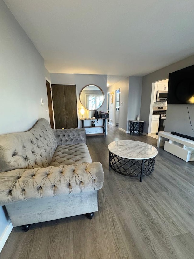 living room featuring dark wood-type flooring