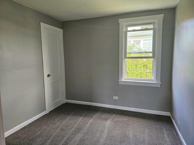 spare room featuring carpet flooring