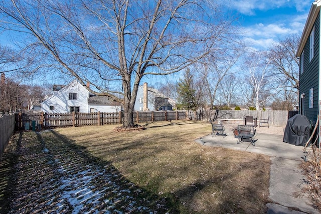 view of yard featuring a patio area