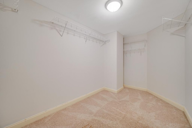 walk in closet featuring light carpet