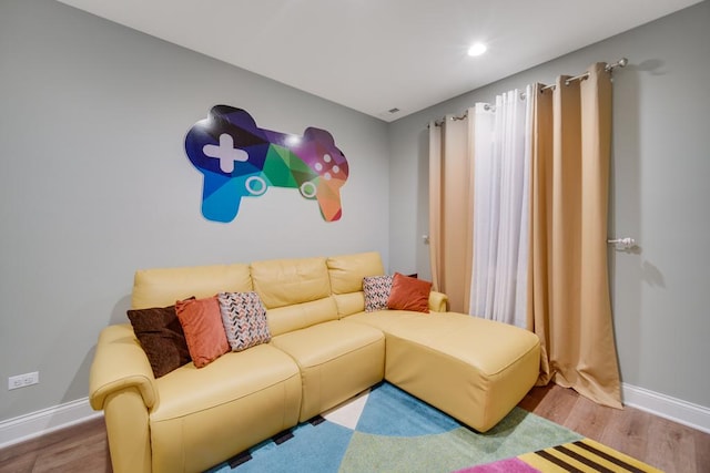 living room featuring wood-type flooring