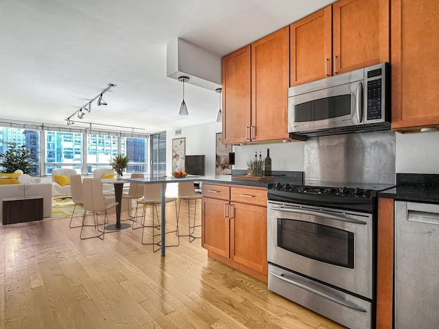 kitchen featuring pendant lighting, stainless steel appliances, rail lighting, and light hardwood / wood-style flooring