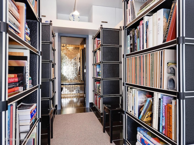 spacious closet with dark colored carpet