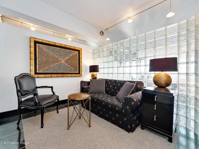 living room featuring rail lighting and carpet