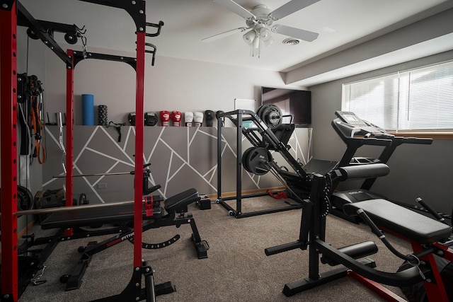 exercise area featuring ceiling fan