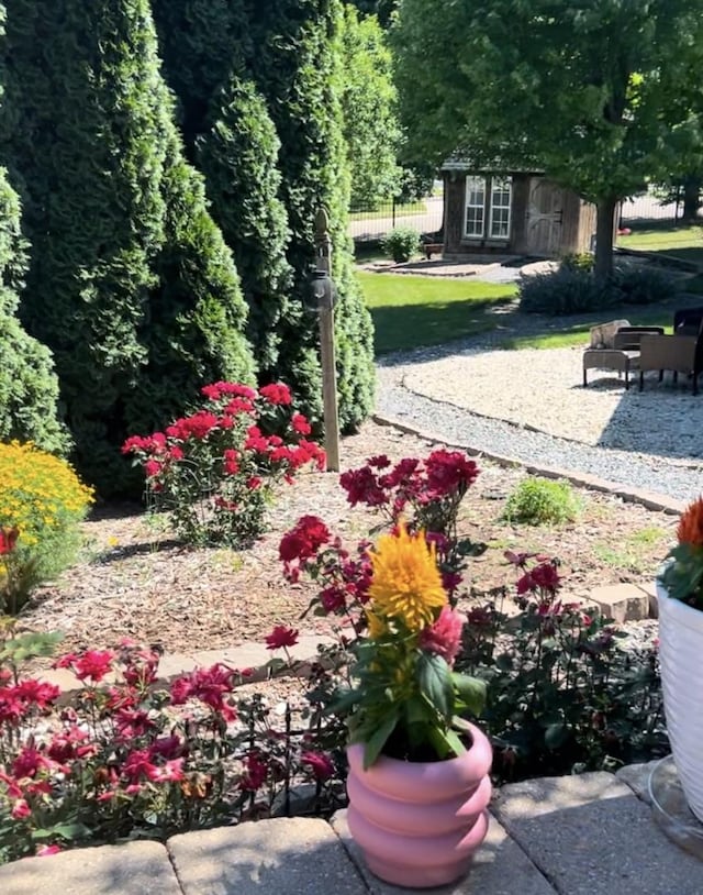 view of yard featuring a storage shed and a patio area