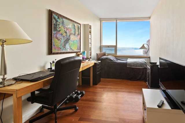 office area featuring dark hardwood / wood-style flooring