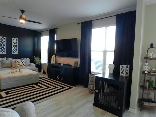 living room with ceiling fan, a wealth of natural light, and wood-type flooring