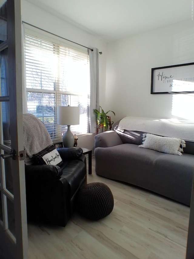 bedroom featuring wood-type flooring