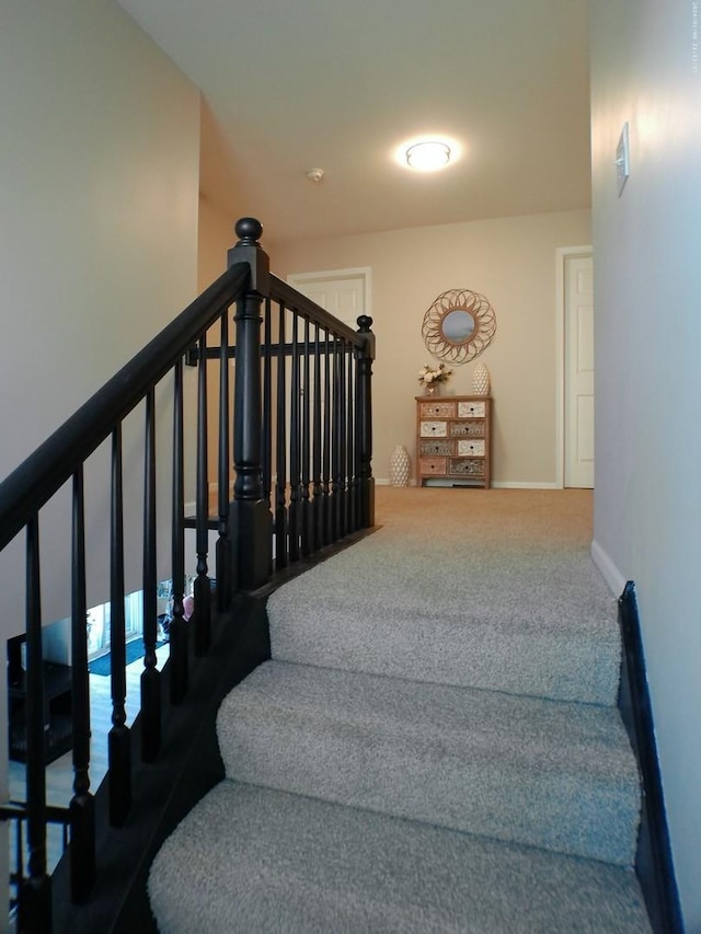 stairway featuring carpet flooring