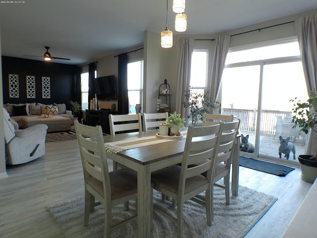 dining area featuring light hardwood / wood-style floors and ceiling fan