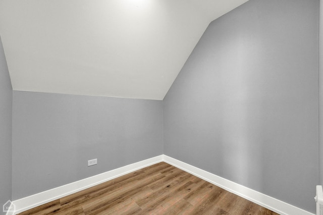 additional living space featuring wood-type flooring and lofted ceiling