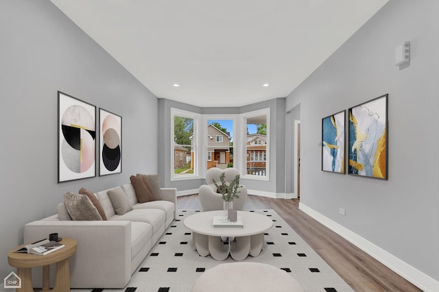 living room featuring wood-type flooring