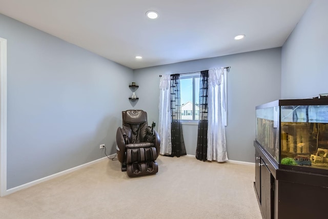 living area with light carpet