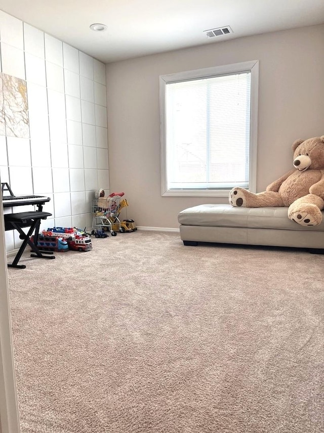 playroom with carpet floors