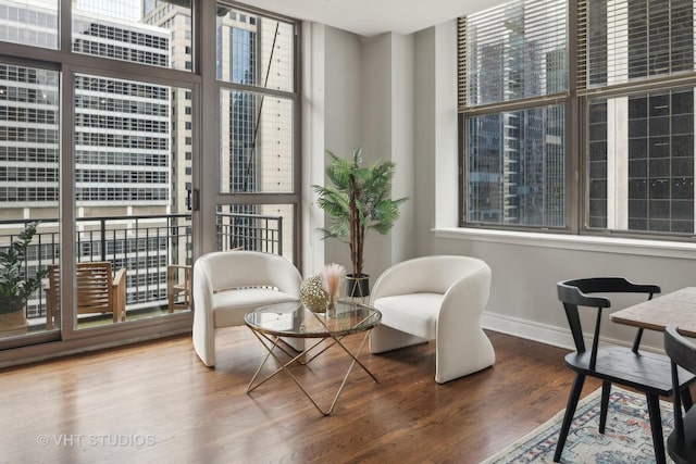 living area featuring hardwood / wood-style flooring, floor to ceiling windows, and plenty of natural light